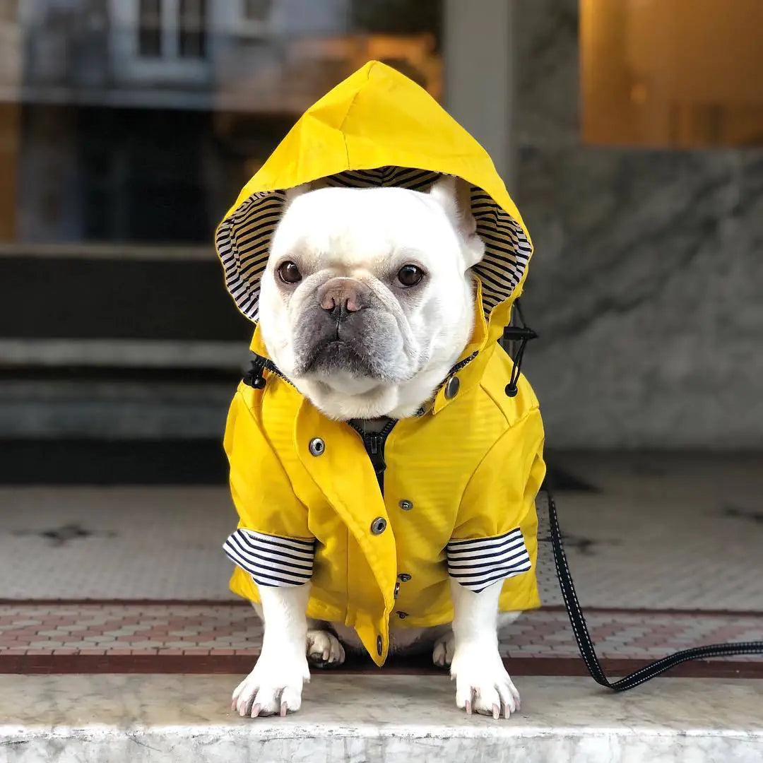 Retro Windproof Padded Dog Raincoat