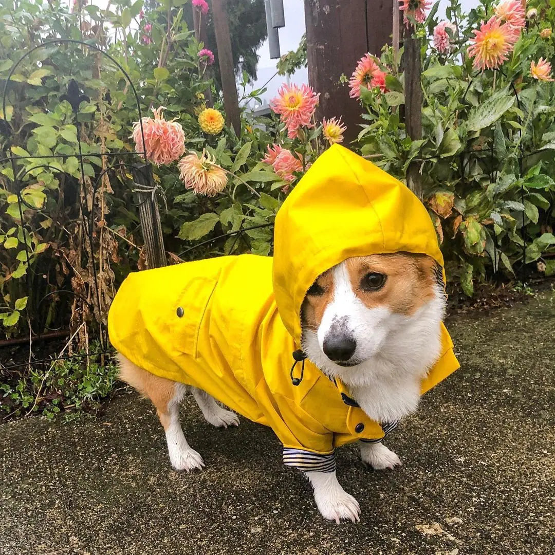 Retro Windproof Padded Dog Raincoat