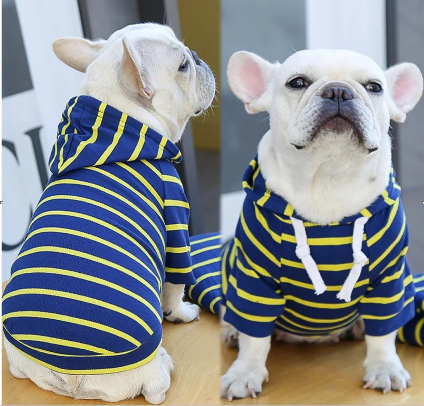 Soft Stripe Pet Hoodie for Small & Medium Dogs