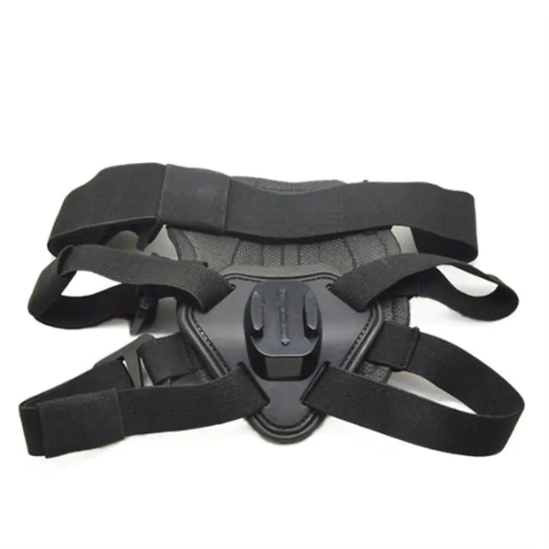 GoPro Dog Harness for Dogs