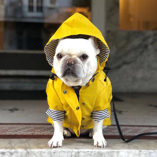 Retro Windproof Padded Dog Raincoat