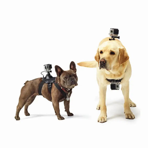GoPro Dog Harness for Dogs